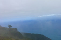 Die Landschaft und Vegetation von Madeira erinnert an Hawaii